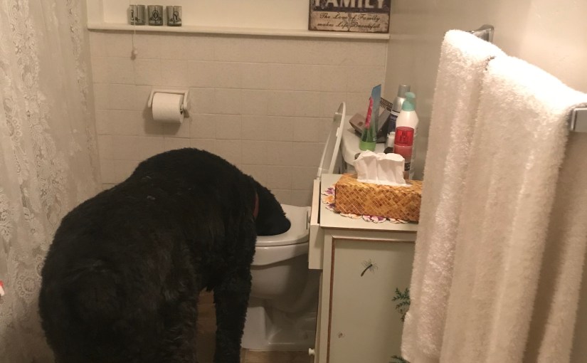 Step Away From The&nbsp;Toilet