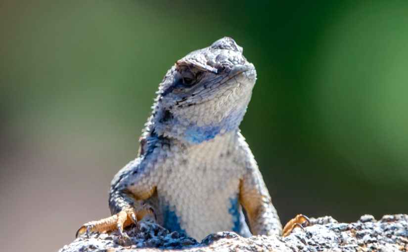 DON’T BE THE&nbsp;FLY!